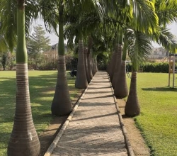 Tobix Recreational Park & Garden-Banex – Gwarinpa/Abuja